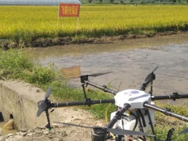 無人機植保