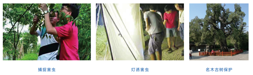 1718804306198916.png 3.png