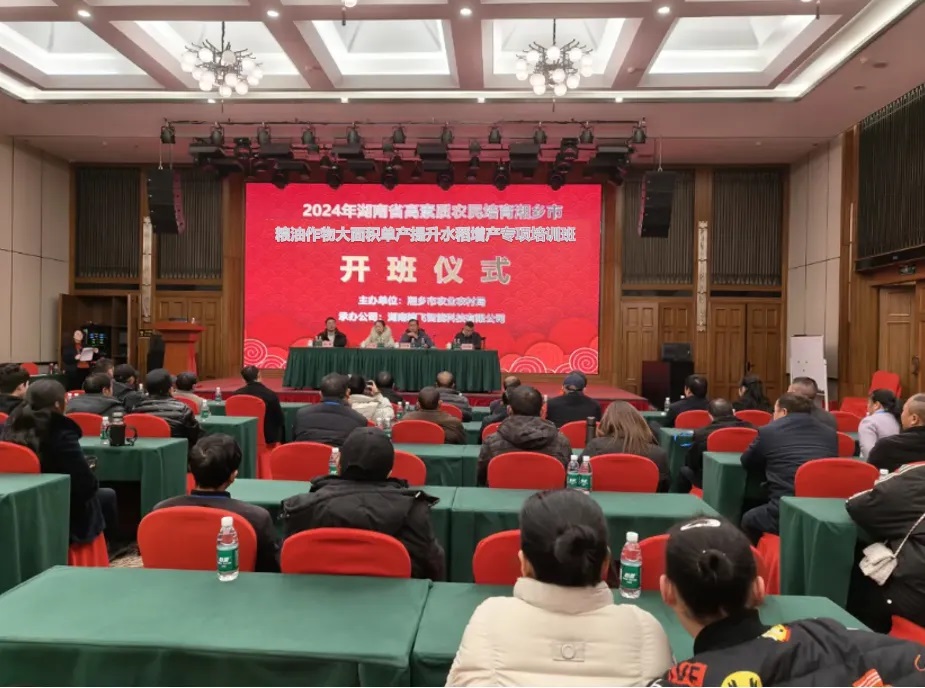 1735304549160549.jpg 2.jpg