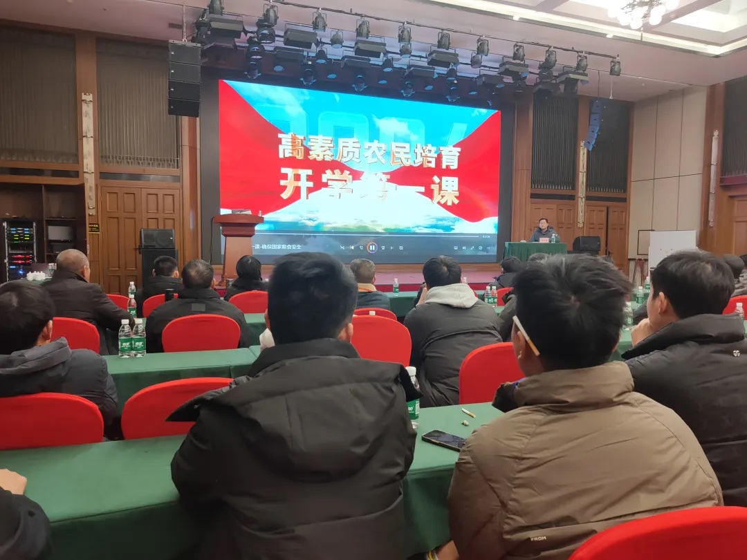 1735304627193457.jpg 4.jpg