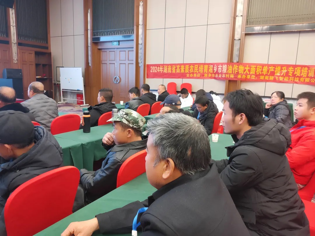 1735304647159262.jpg 5.jpg